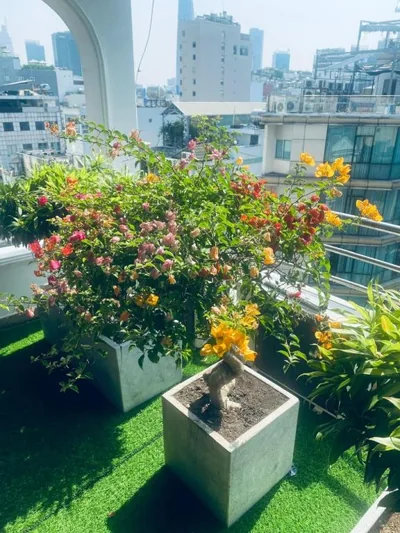 Hotel d'Sallutte Ben Thanh – Photos 15